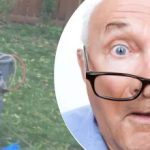 Det mærkelige fund nær træet efterlod naboen forundret: Hvilken hemmelighed