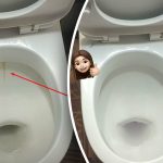 Et produkt gør din toiletkumme skinnende hvid: Sådan får du