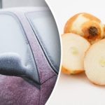 Hvorfor en bil gnides med løg – erfarne chauffører afslører