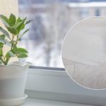 Resultatet vil forbløffe dig: en opskrift på et middel, der