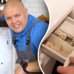 Sådan renser du en vaskemaskine for skimmelsvamp og lugt: ekspertens