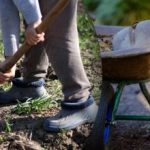 Såkalender for september 2025: Hvad skal man gøre i haven