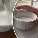 Ukrainerne blev opfordret til at stille en skål salt i